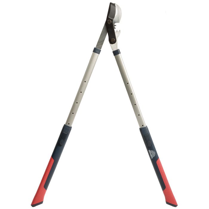 Сучкоріз телескопічний Vitals Professional LS-930-01T